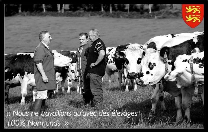 La chaiseronne : le meilleur boeuf de Normandie